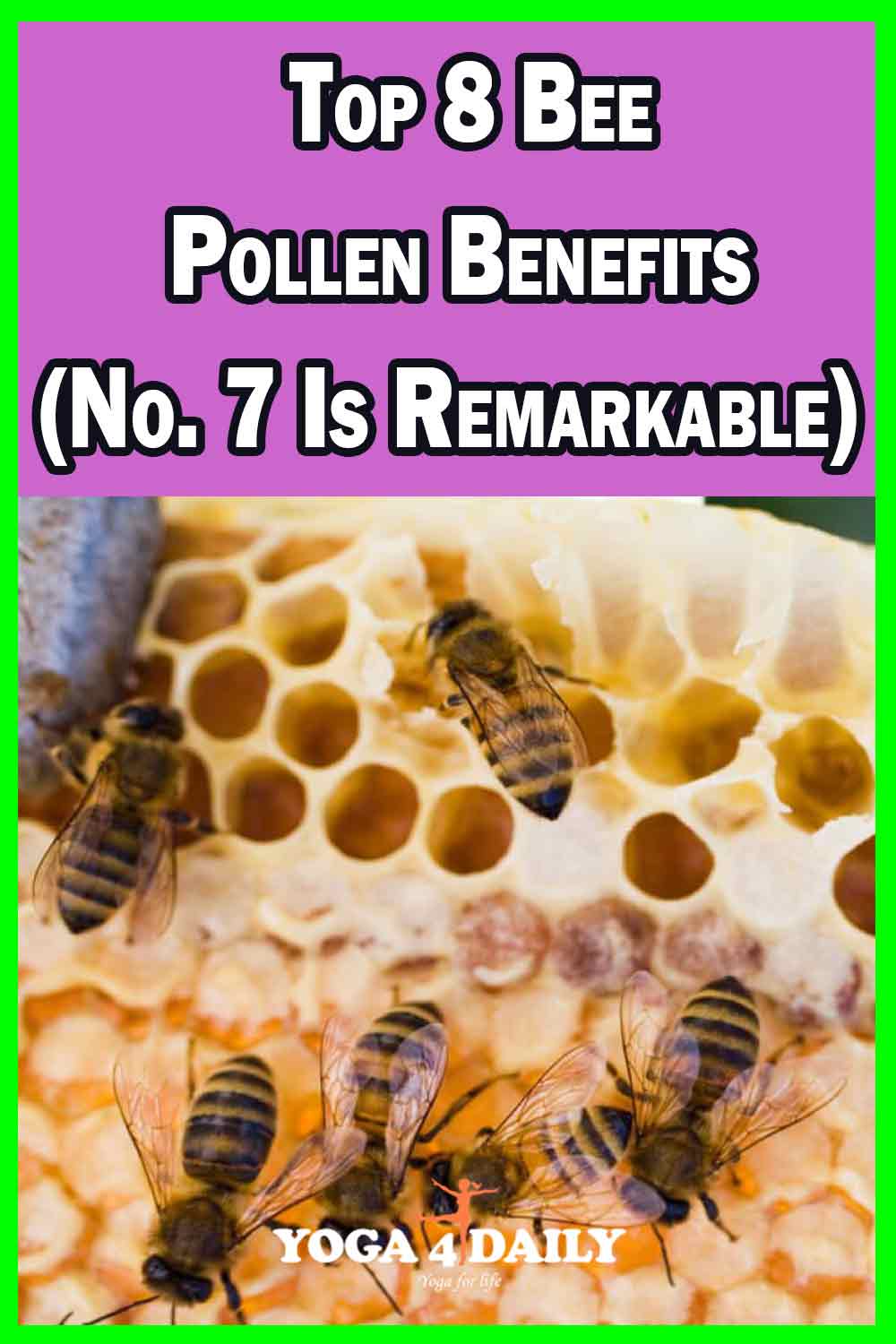 Top 8 Bee Pollen Benefits (No. 7 Is Remarkable)